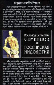 Владимир Шохин - Всеволод Сергеевич Семенцов и российская индология