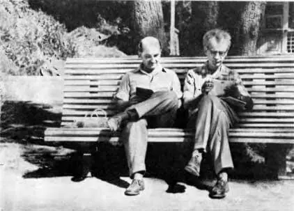 Е М Лифшиц и Л Д Ландау Боржоми 1960 г Приближался вечер и нужно было - фото 20