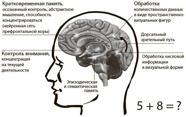 Рис 41 Нейронная сеть для освоения ментальной математики Вместе с другими - фото 9