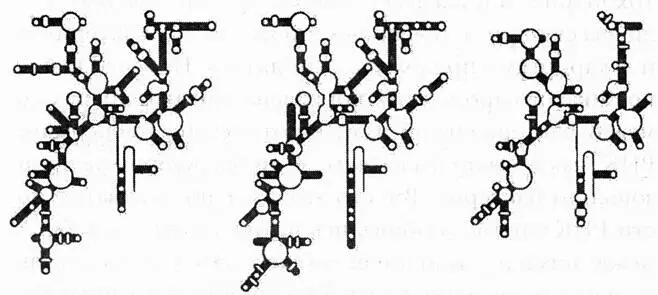 Рис 9 Предсказанная структура рибосомной РНК из а археи Halobacterium - фото 9