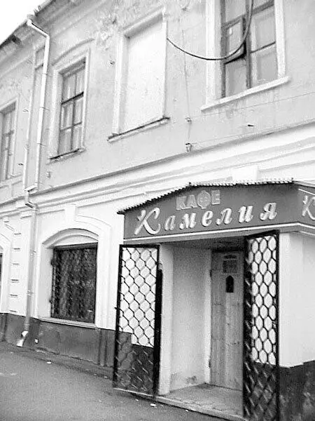 Бывшее Под шарами Автор книги уговаривает Игоря Шедвиговского написать - фото 18