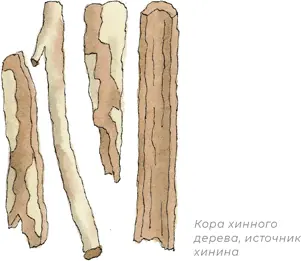 Джон Чивер Чехов американских пригородов также весьма активно потреблял - фото 160