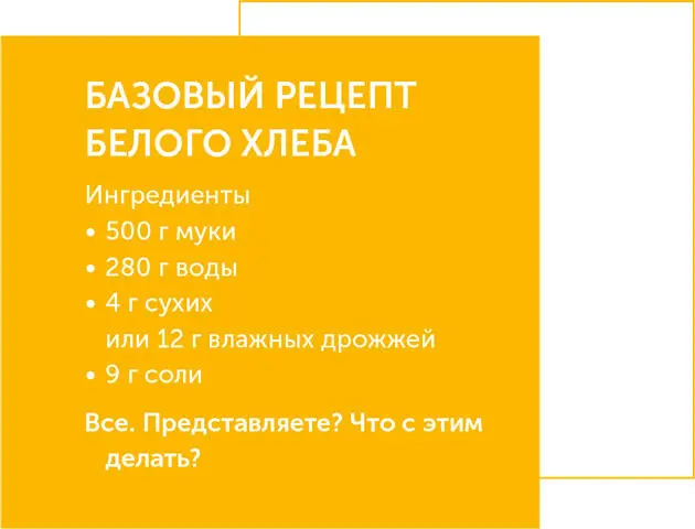 Процесс Замес подъем формовка расстойка выпечка презентация - фото 212