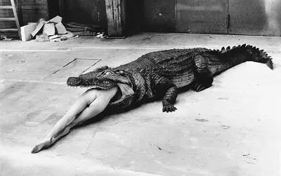 Хельмут Ньютон Крокодил и балерина Pina Bausch Ballet 1983 Крокодил Гена - фото 39