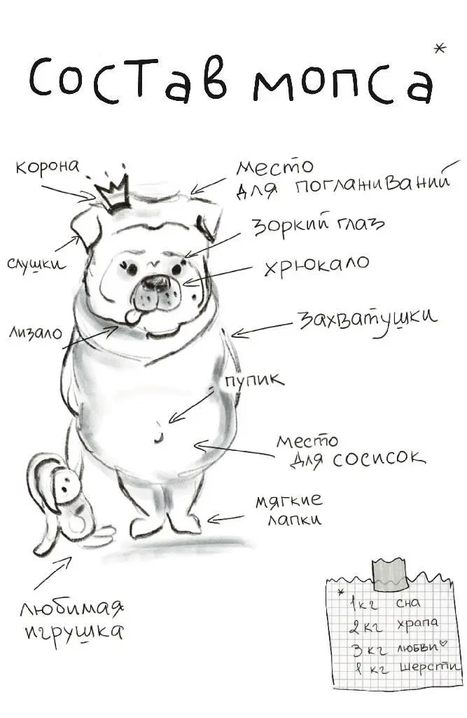 Я сбилась со счета примерно на седьмой Неужели союз по защите прав мопсиков - фото 10