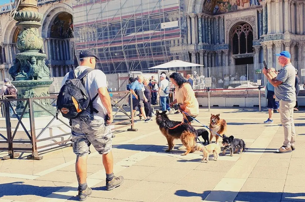Здесь торгуют на каждом свободном метре Баснословно дорогая земля и - фото 42