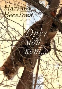 Наталья Веселова - Друг мой, кот…