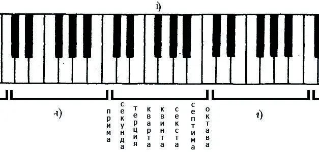 Латинский Римский Русский Всего существует 7 нот на белых кла - фото 2