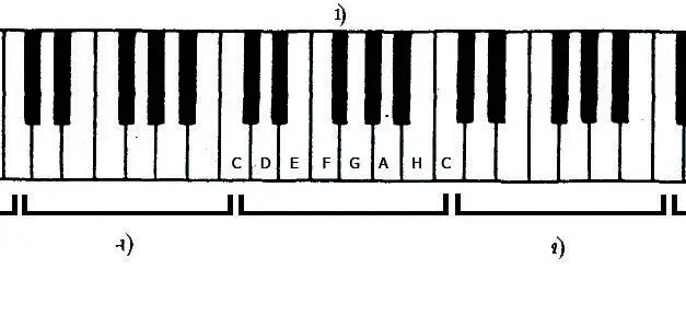 Римский Русский Всего существует 7 нот на белых клавишах черные же это - фото 3