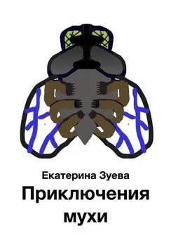 Екатерина Зуева - Приключения мухи