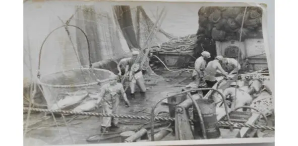 На борту тунцелова Касис На этом фото видно как выливают желтопёрого тунца - фото 39