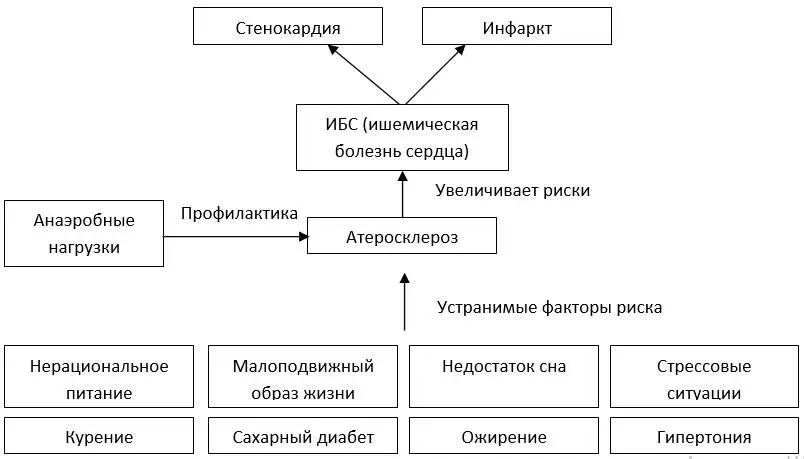 С болезнями сердечнососудистой системы связано около 20 смертей Из них - фото 3