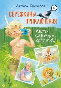 Лариса Соколова - Сережкины приключения. Лето, бабушка, друзья