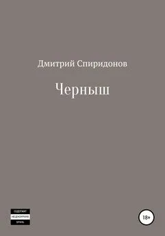 Дмитрий Спиридонов - Черныш