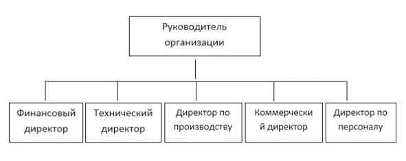 Данный вариант наиболее типичен для достаточно развитых фирм с выделением сферы - фото 11