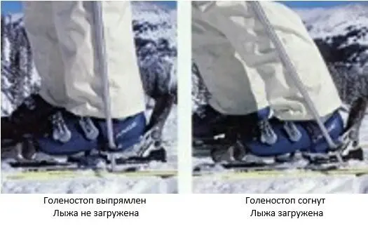 При незагруженной лыже вес лежит на пятках при загруженной на передней части - фото 2
