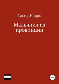 Виктор Некрас - Мальчики из провинции