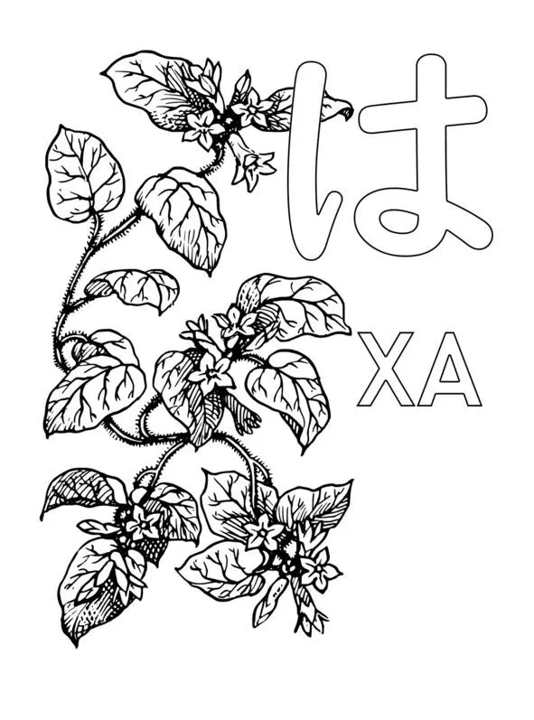 Японская азбука Хирагана Раскраска и прописи - фото 56