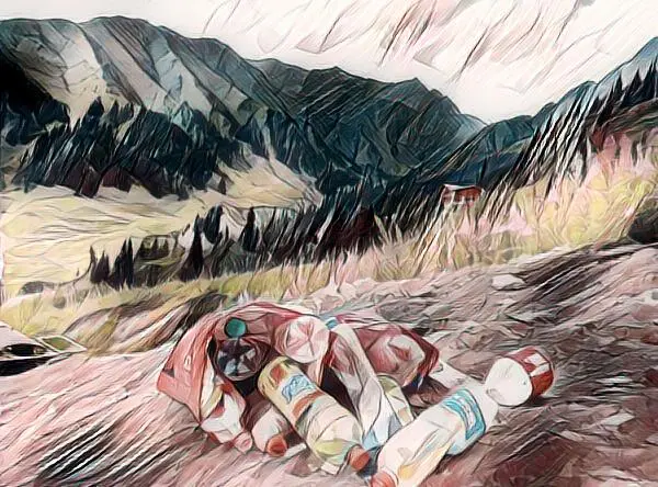 Напоследок я окинула взглядом долину Она больше не казалось мне - фото 4