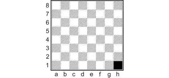 Диаграмма 1 Шахматные поля образуют шахматные линии Линии проходящие слева - фото 1