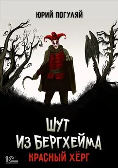 Юрий Погуляй - Шут из Бергхейма. Красный Хёрг
