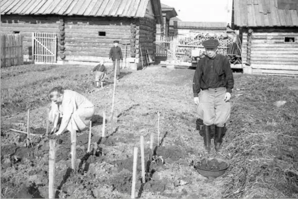 Весна 1959 года идет посевная на огороде на заднем плане я и брат Сергей на - фото 10