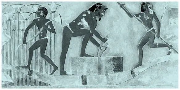 Сбор папируса Изображение из гробницы Пуимре в Фивах XV в до н э The - фото 4