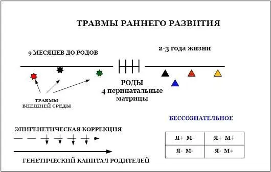 Рис 11 Травмы периода раннего развития На рис 11 приведена схема - фото 1