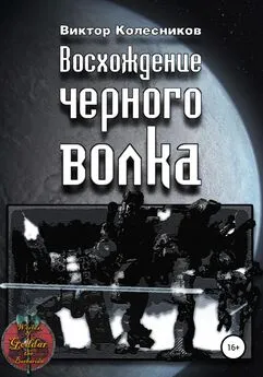 Виктор Колесников - Восхождение черного волка