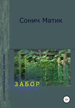 Сонич Матик - Забор