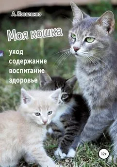 Александр Коваленко - Моя кошка. Уход, содержание, воспитание, здоровье