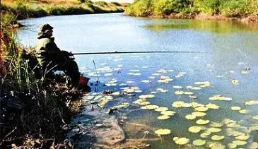 Блесну специально я не подбирал И ленок и таймень брали на любую Наши - фото 2