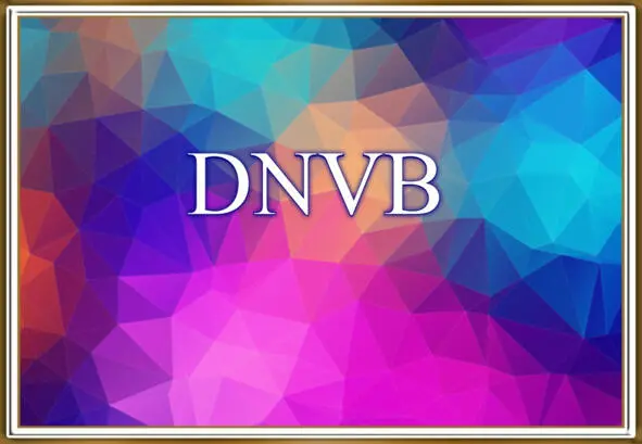 Digital Native Vertical Brands или DNVB это современные компании - фото 16