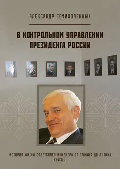 Александр Семиколенных - История жизни советского инженера от Сталина до Путина. Книга II. В контрольном управлении Президента России