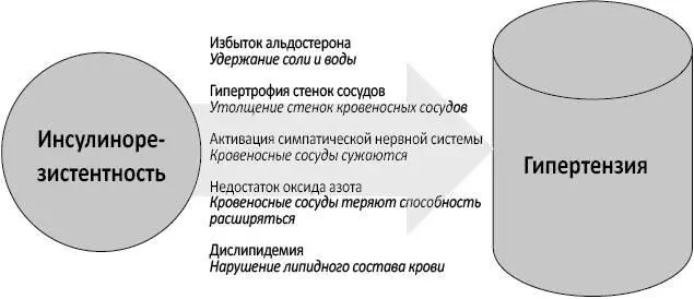 Как инсулинорезистентность повышает кровяное давление С годами мы пришли к - фото 6