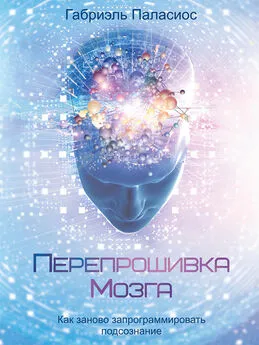 Габриэль Паласиос - Перепрошивка мозга. Как заново запрограммировать подсознание