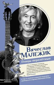 Вячеслав Малежик - Птицы перелётные