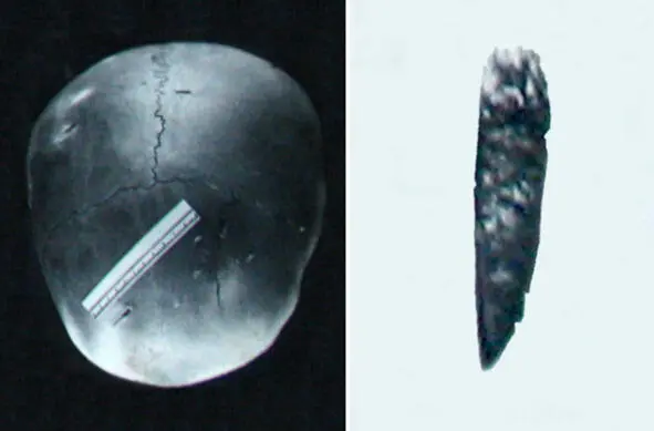 Обломанный кончик ножа которым убийца наносил удары в теменную часть черепа - фото 4