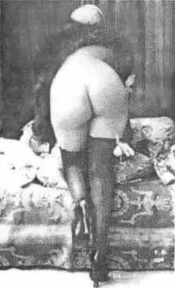 Из архива истории фотографии А одним из весенних вечеров 1833 года Альфред де - фото 119