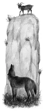 Волк видит коза пасётся на каменной горе и нельзя ему к ней подобраться он - фото 5