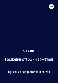 Ана Стенк - Господин старший вожатый