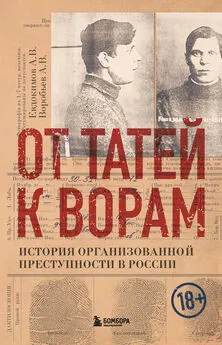 Александр Воробьев - От татей к ворам. История организованной преступности в России