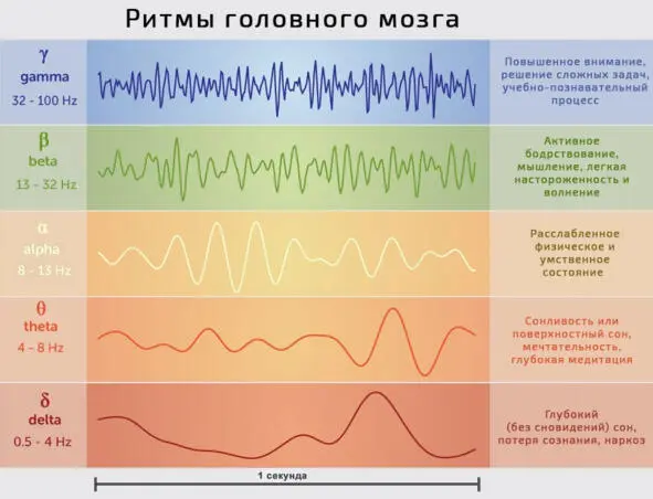 Ритмы и частоты головного мозга Частоты мозга и достижение измененного - фото 10