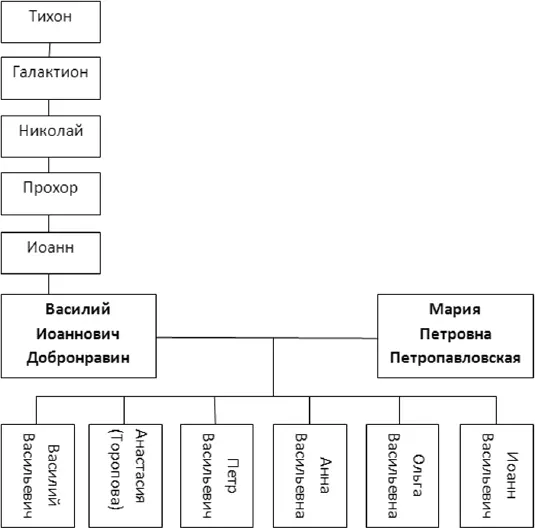 Схема 8 Дети их 1 Василий Васильевич 1869 г р родился в Ростове - фото 18