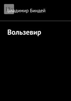 Владимир Биндей - Вользевир