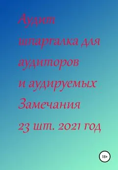 Галина Ненашева - Аудит шпаргалка для аудиторов и аудируемых. Замечания 23 шт. за 2021 год