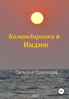 Татьяна Соколова - Командировка в Индию