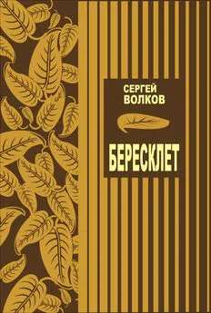 Сергей Волков - Бересклет