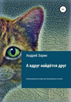 Андрей Зорин - А вдруг найдётся друг