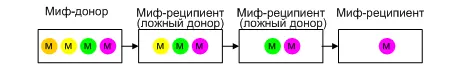 Схема 1 Донор и образованные им реципиенты На схеме мы видим механизм - фото 1